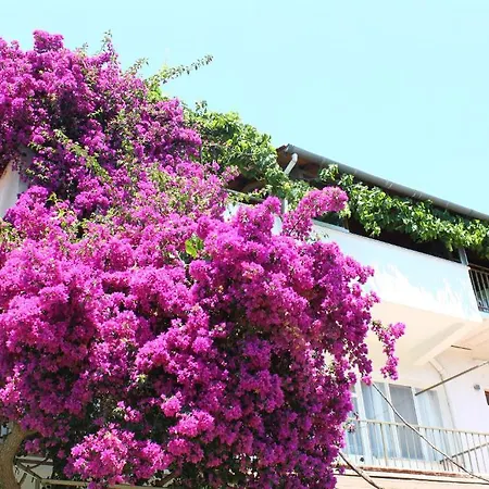 Rose Pension *