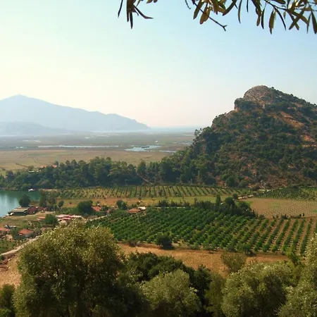 Rose Pension Maison d'hôtes Dalyan