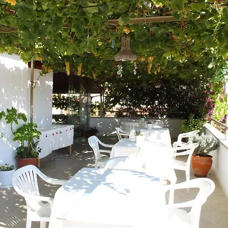 Rose Pension Guest house