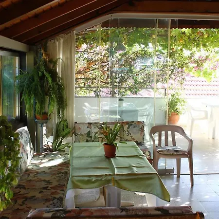 Rose 게스트하우스 달리안