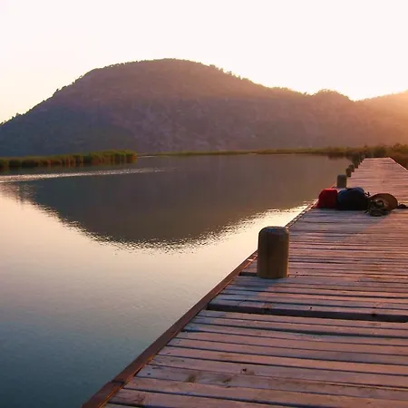 Rose 게스트하우스 3*