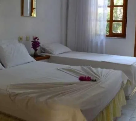Guest house Rose Pension *